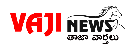 vaginews logo